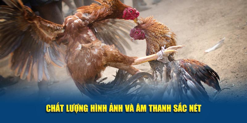 Chất lượng hình ảnh đẹp