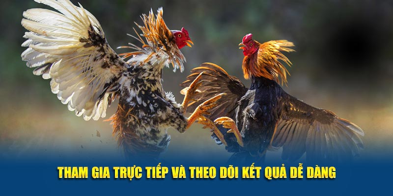 Tham gia trực tiếp và theo dõi kết quả dễ dàng