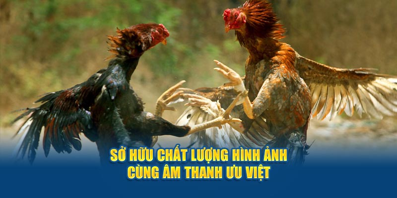 Sở hữu chất lượng hình ảnh cùng âm thanh ưu việt